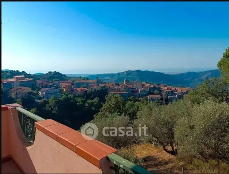 Terrasse - Independent House with Olive Grove in Zagarise