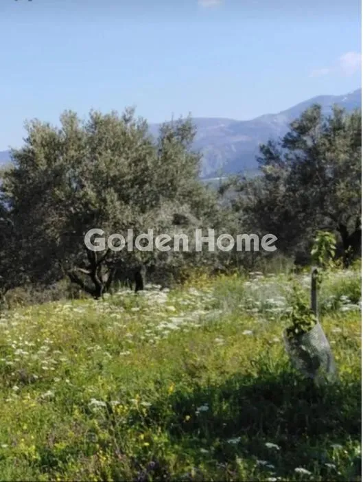 Giardino - Unique Estate with Panoramic View in Kainoi, Euboea