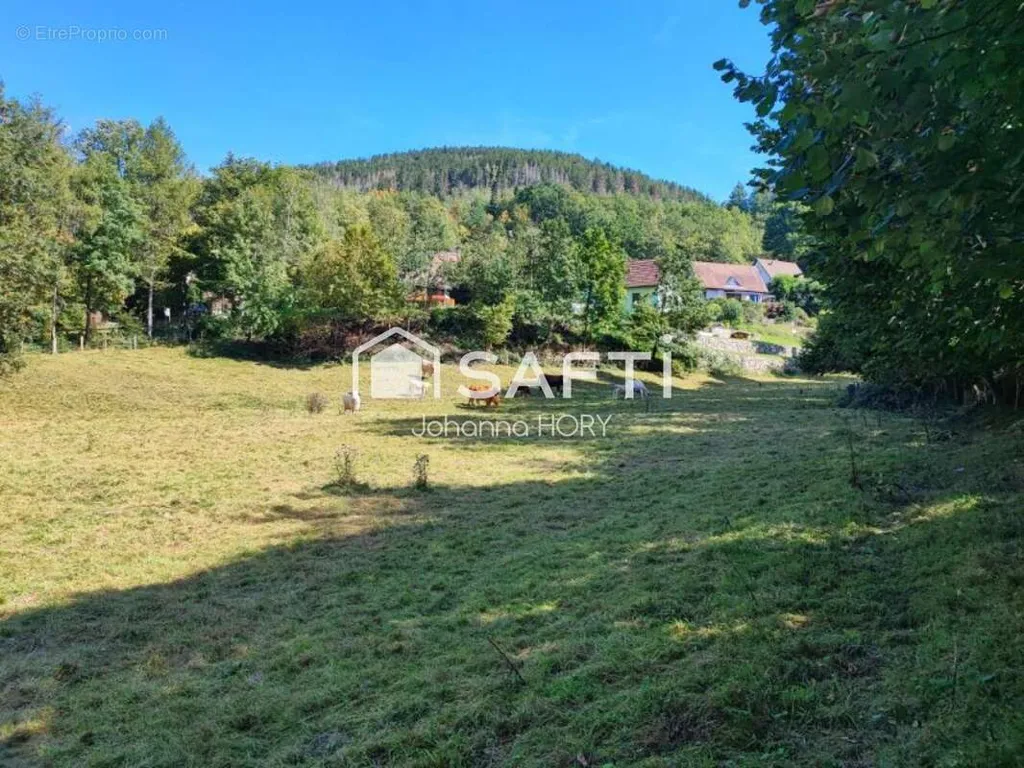 Aed - 16 Ares Plot with Bucolic Setting in Husseren-Wesserling