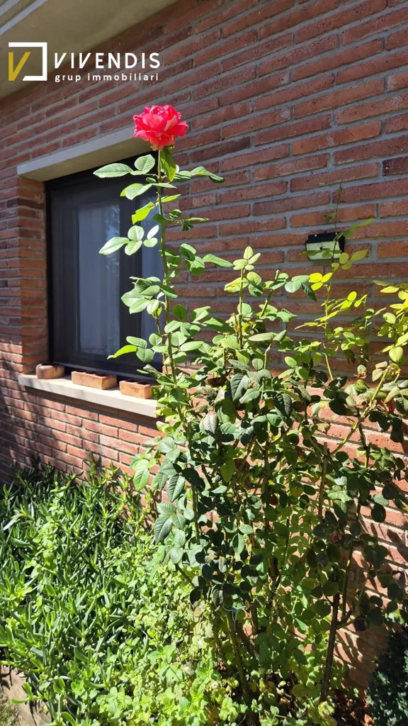 Jardin - Detached House with Pool in Alpicat