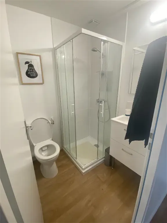 Vannitoad - Meubled Studio in City Centre, Niort