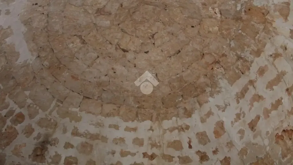 Toad - Traditional House with Garden in Carovigno