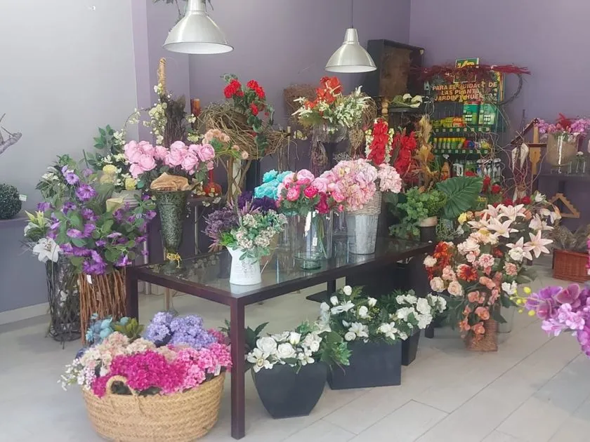 Toad - Florist Shop with Storage in León