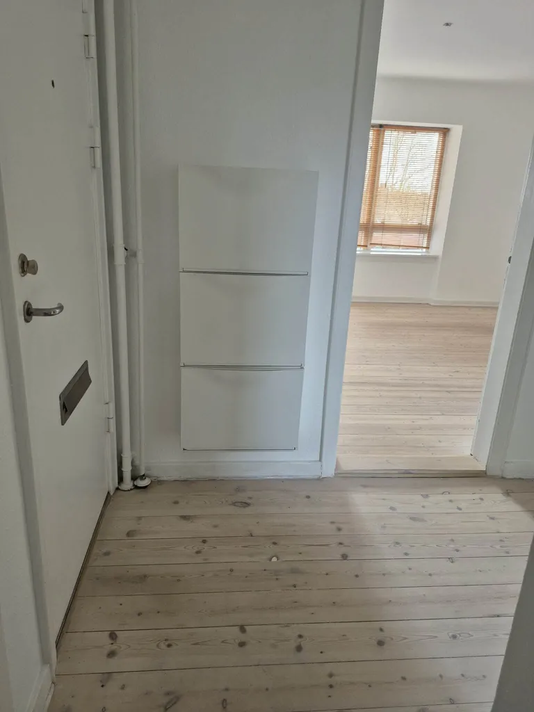 Esik - Bright 2-Bedroom Flat with Balconies in Odense