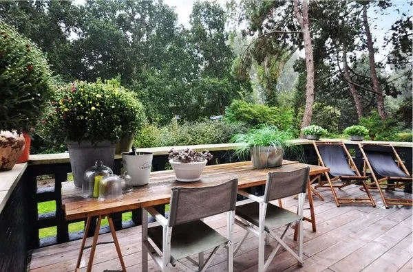 Terrace - 2-Bedroom Apartment with Park View in Den Haag