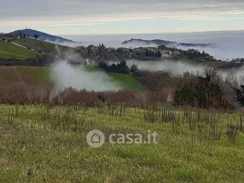 Aed - Rustic Farmhouse with Olive Grove in Corsciano