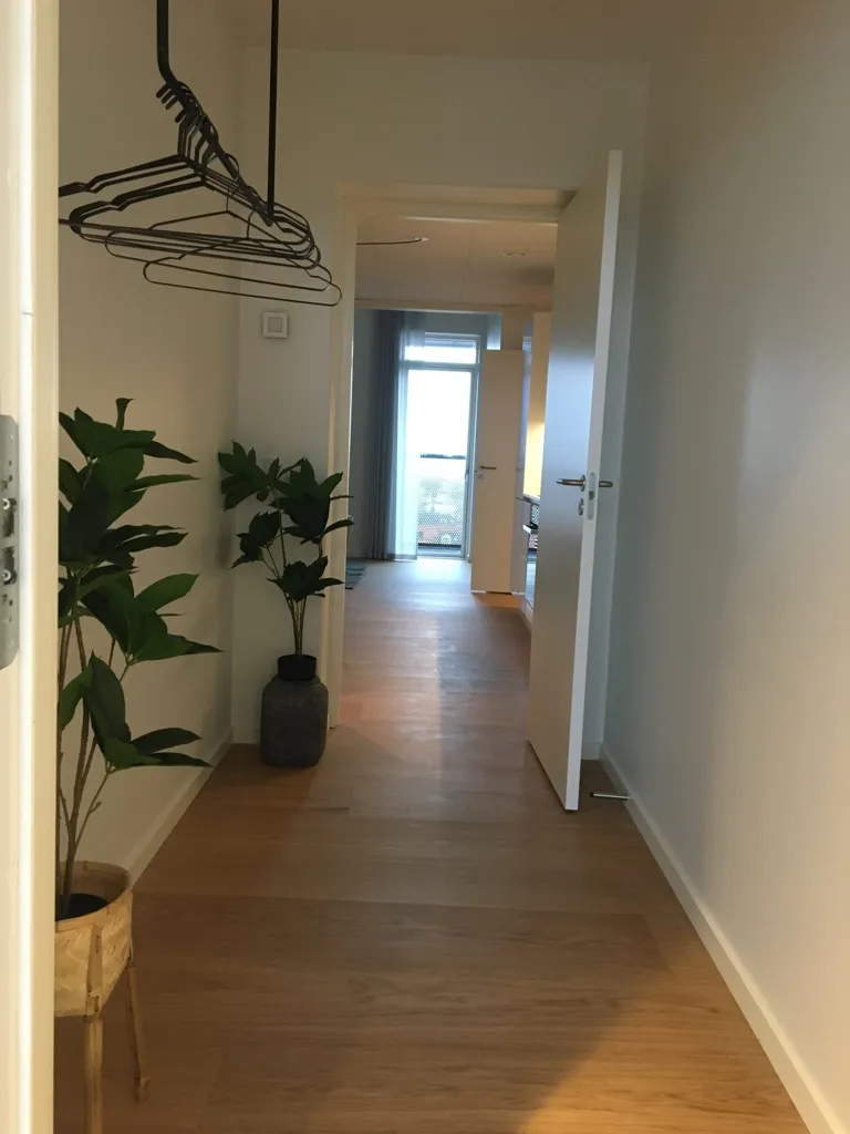 Entrée - Luxury Penthouse with Balcony in Viborg