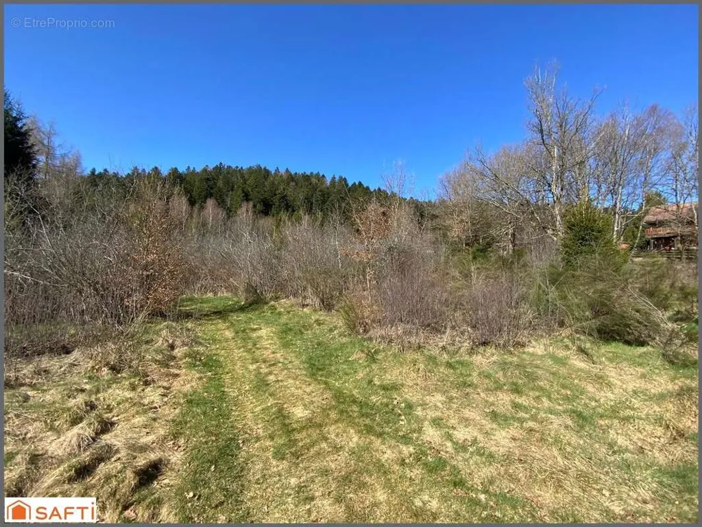 Aed - Non-Constructible Land with South-East Exposure in Le Tholy