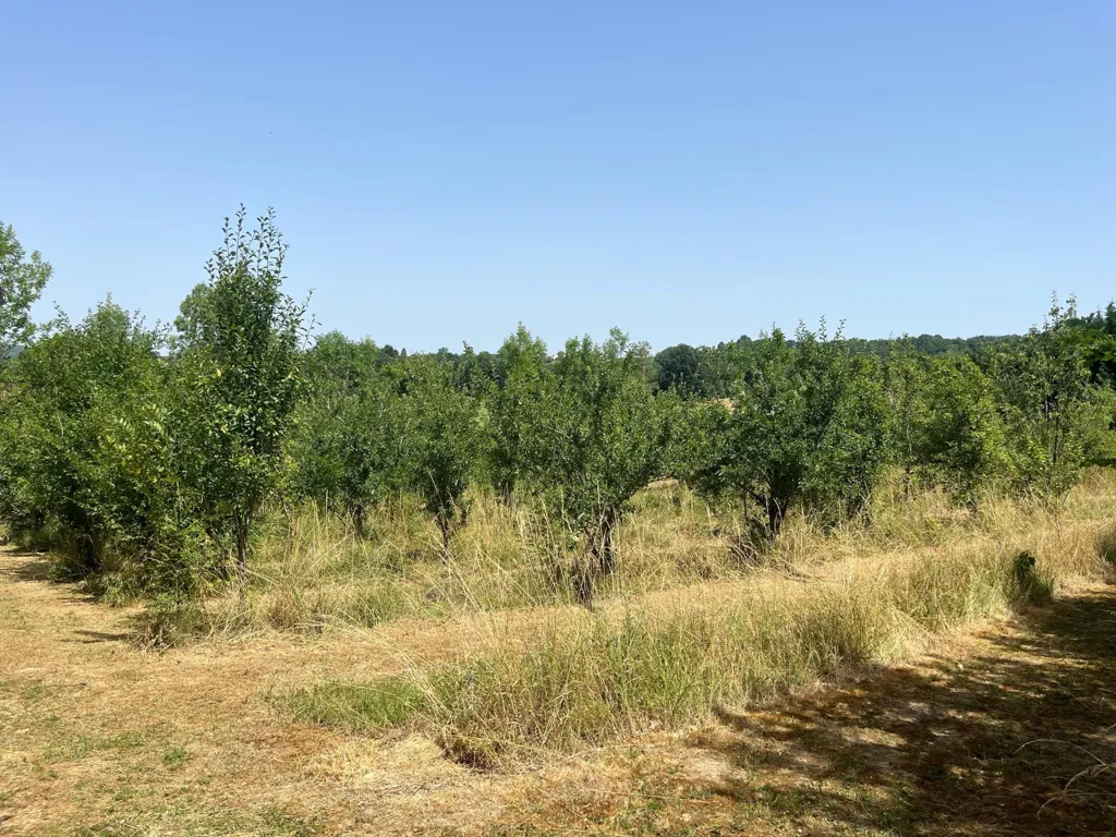Giardino - Charming House with Orchard in Beaumont-Du-Perigord