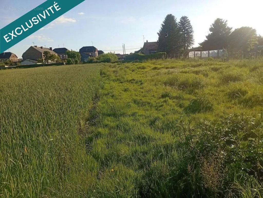 Jardin - Terrain Constructible à Fresnes-sur-Escaut