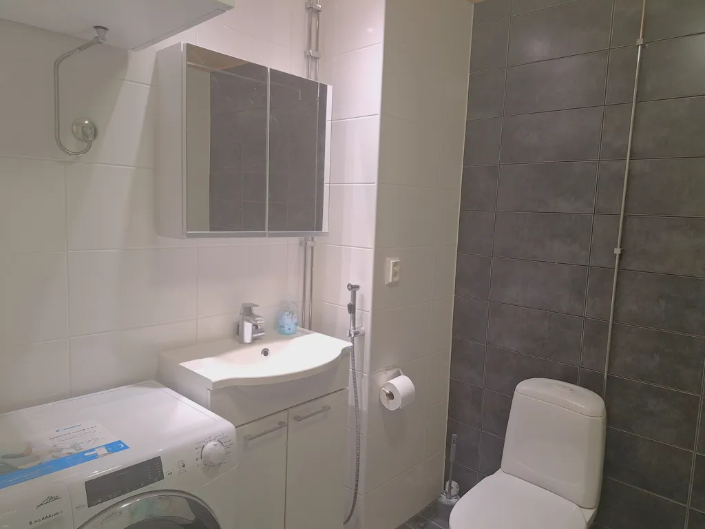 Vannitoad - Modern 2-Bedroom Flat with Sauna in Linnanmaa, Oulu