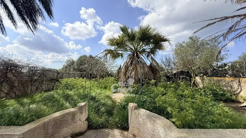 Garden - Villa with Private Garden in Marsala