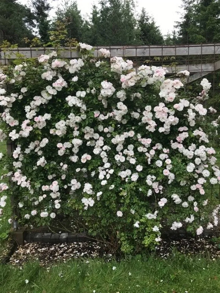 2-toaline maja asukohas Lekebergs kommun