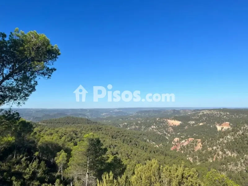 Historic Finca with Vineyards in Requena