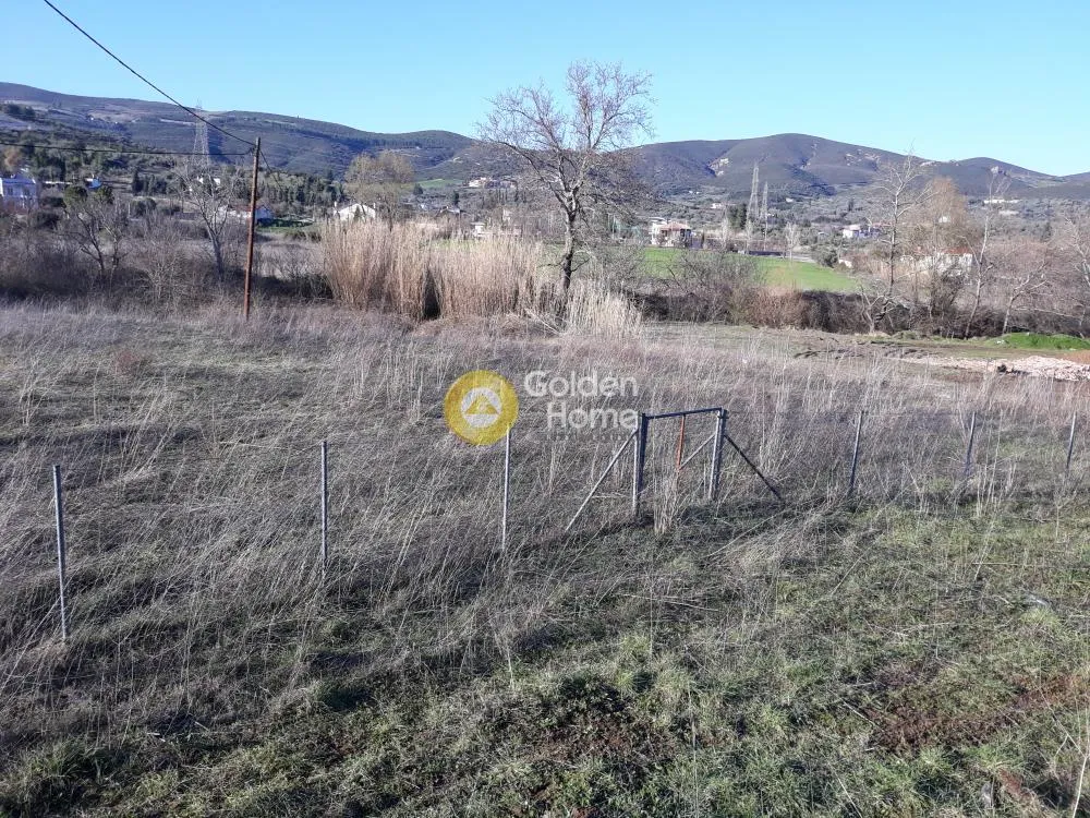 Aed - Buildable Plot with Mountain View in Livadeia Centre
