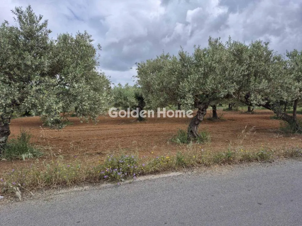 Aed - Buildable Plot with Airport Proximity in Minóa Pedíados