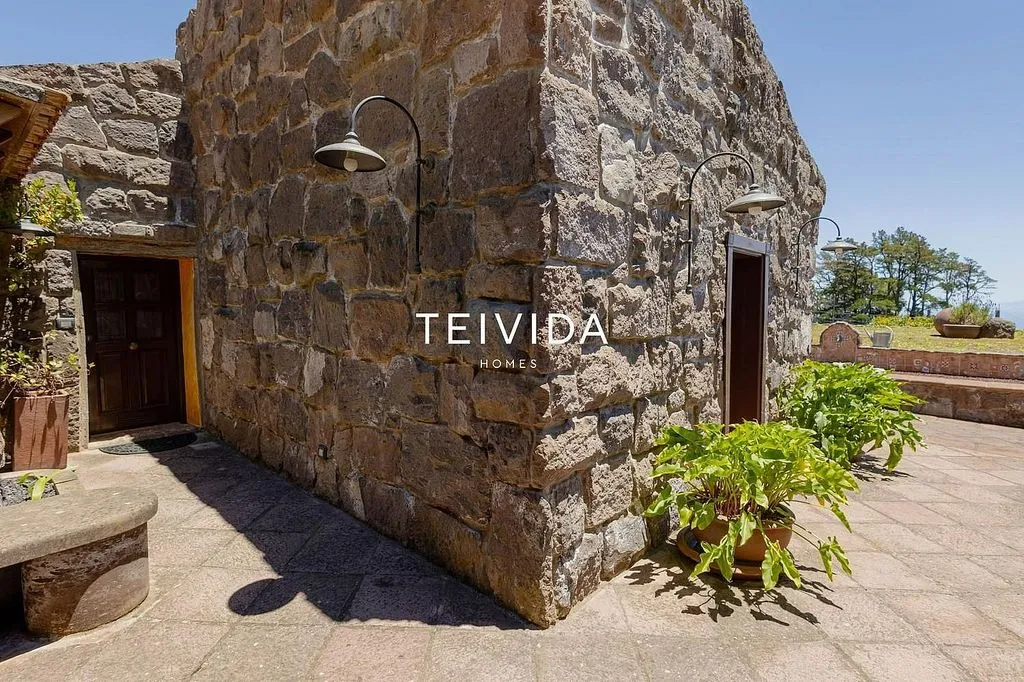 Garden - Villa with Pool and Bodega in El Rosario