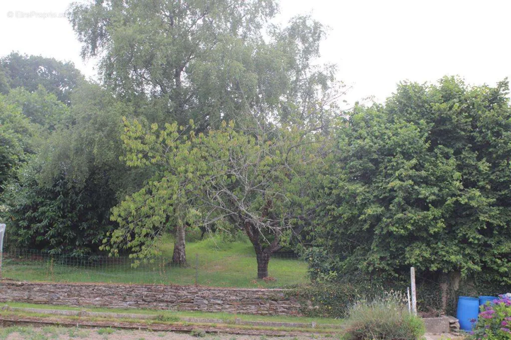 Aed - House with Constructible Land in Uzel