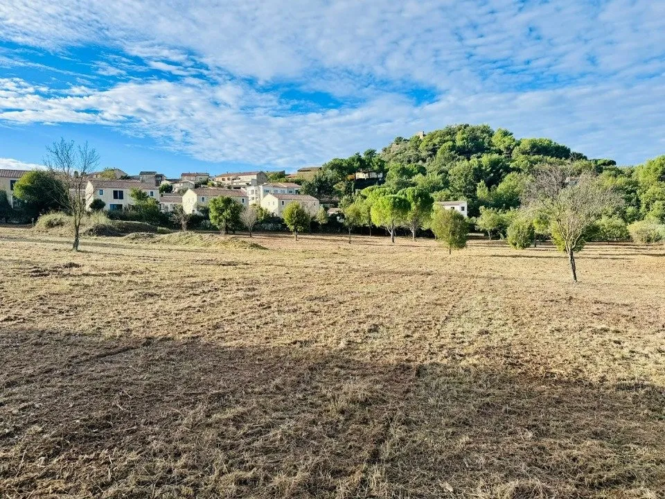 Jardin - Maison à Construire avec Jardin à Rognes