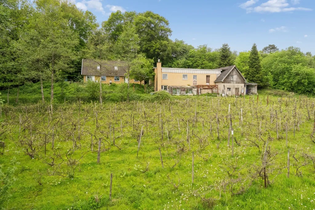 Jardin - Villa with Vineyards in Nørre Bjert
