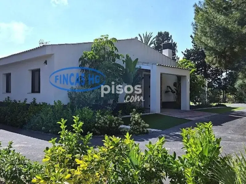 Extérieur - Estate with Pool and Garden in Mutxamel