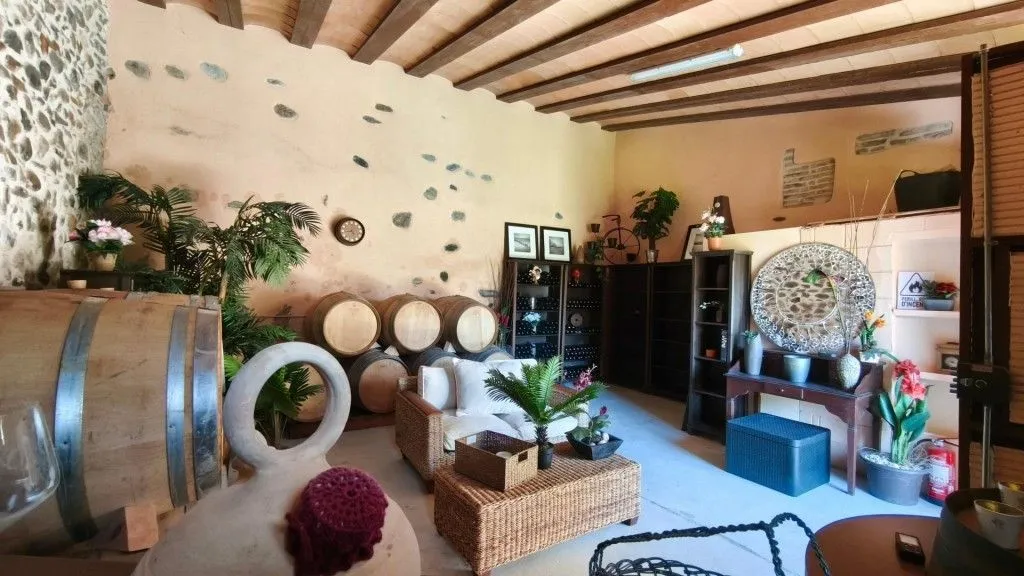 Toad - Boutique Vineyard with Winery in Priorat
