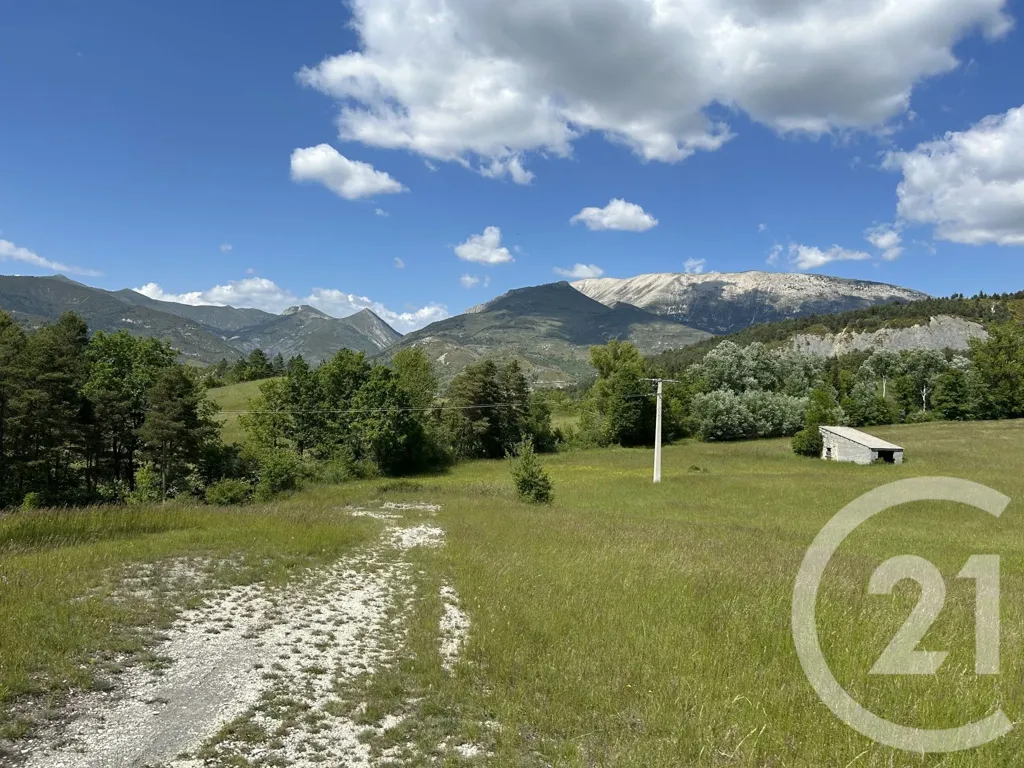 Garten - 10-Room House with Equestrian Facilities in Clumanc