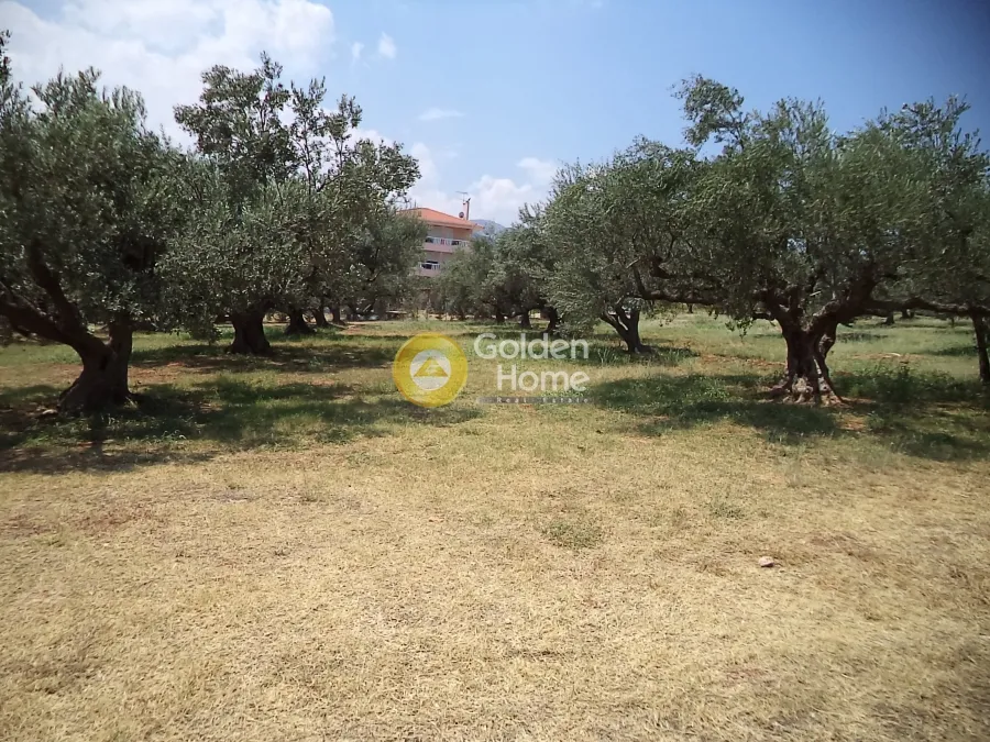 Aed - Plot with Mountain View in Akra, Sylibainiotika