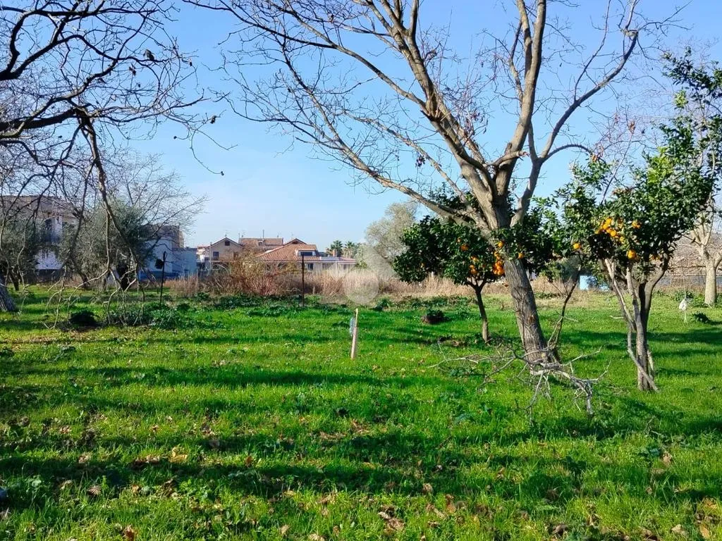 Jardin - Residential Plot in Arienzo, Caserta