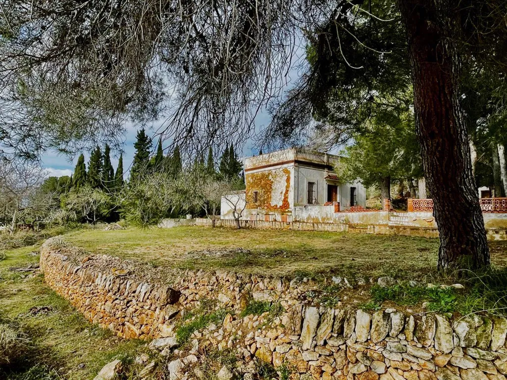 Jardin - Modernist House with Pine Woods in Tortosa