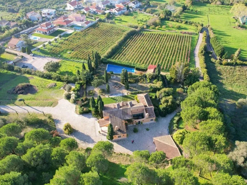 Vue aérienne - Farm with Pool and Vineyard in Azeitao