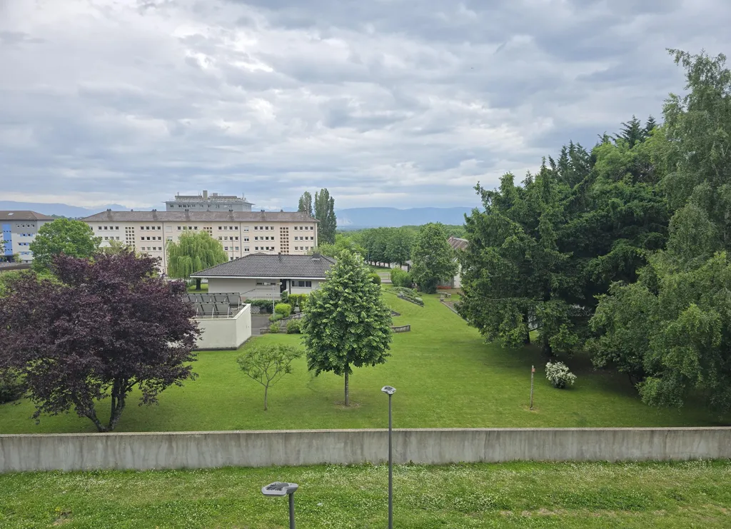 Aed - 3-Bedroom Flat with Mont-Blanc View in Gex