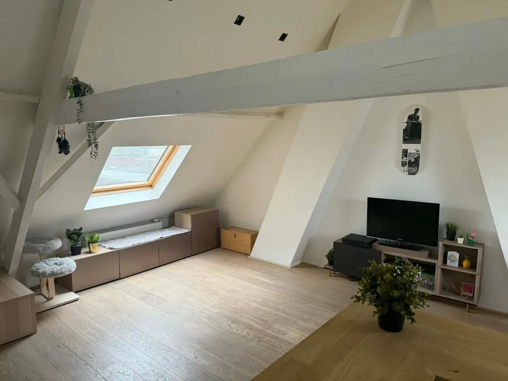 Rooms - Apartment with Large Skylights in Merksem, Antwerp