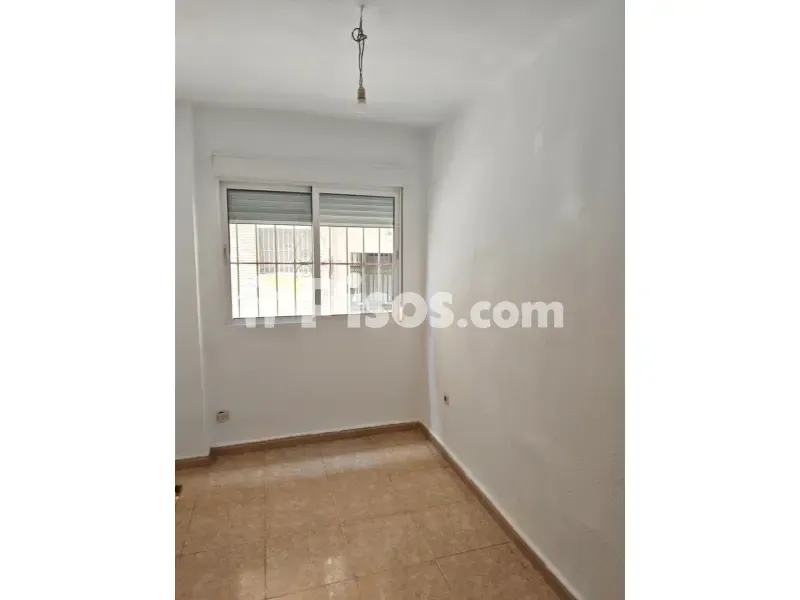 Toad - Ground Floor Flat with Garden in Málaga