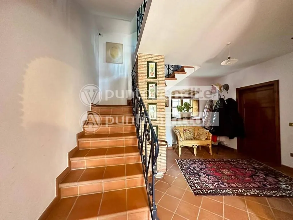 Toad - Country House with Pool Potential in Capannori