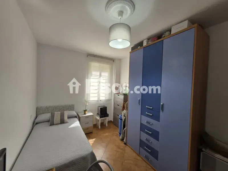 Magamistoad - Spacious Flat with Garden in Carmona