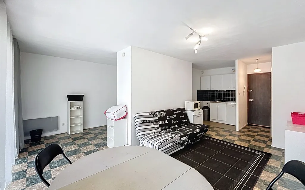 Living Room - Furnished Flat with Terrace in Nancy Centre