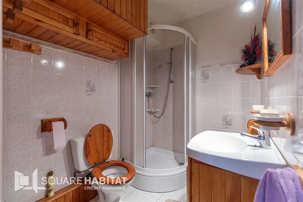 Bagni - Studio with Mountain View in Cauterets