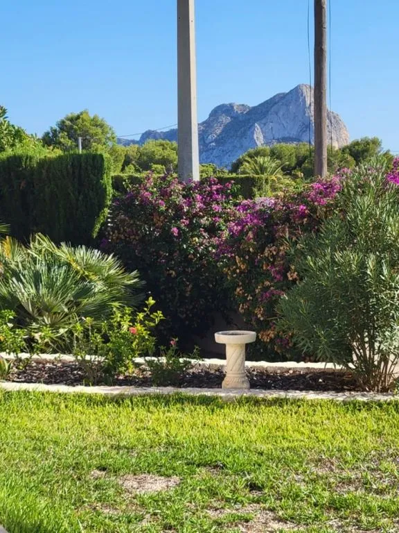 Jardin - Luxury Villa with Pool in Calpe