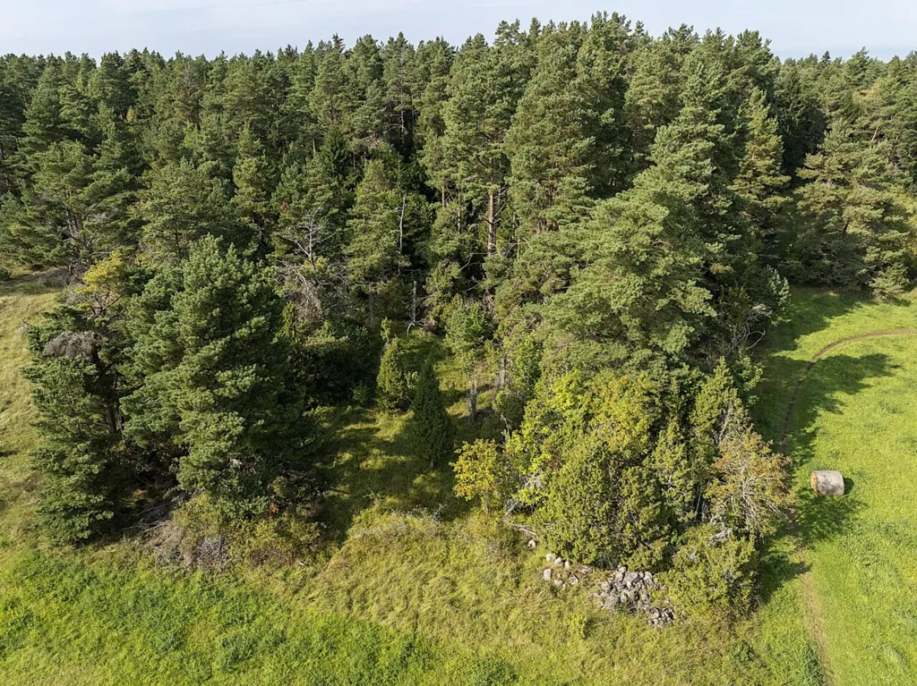 Vue aérienne - Plot with Potential for Cottage in Meiuste