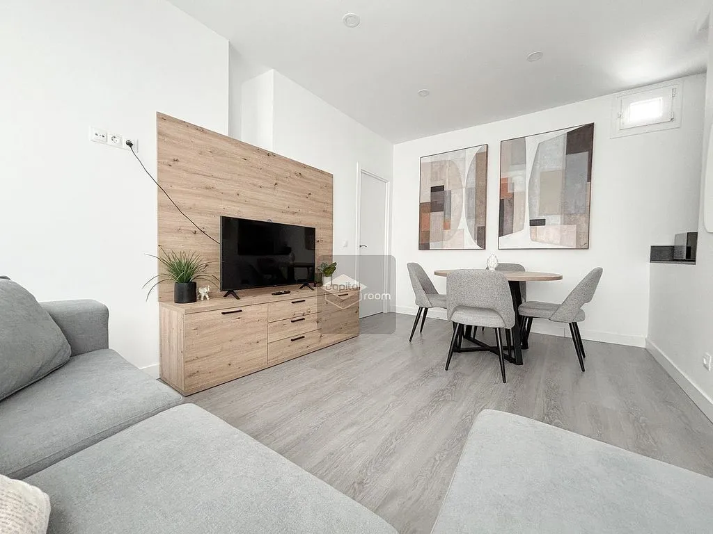 Fully Furnished Flat in Recoletos, Madrid