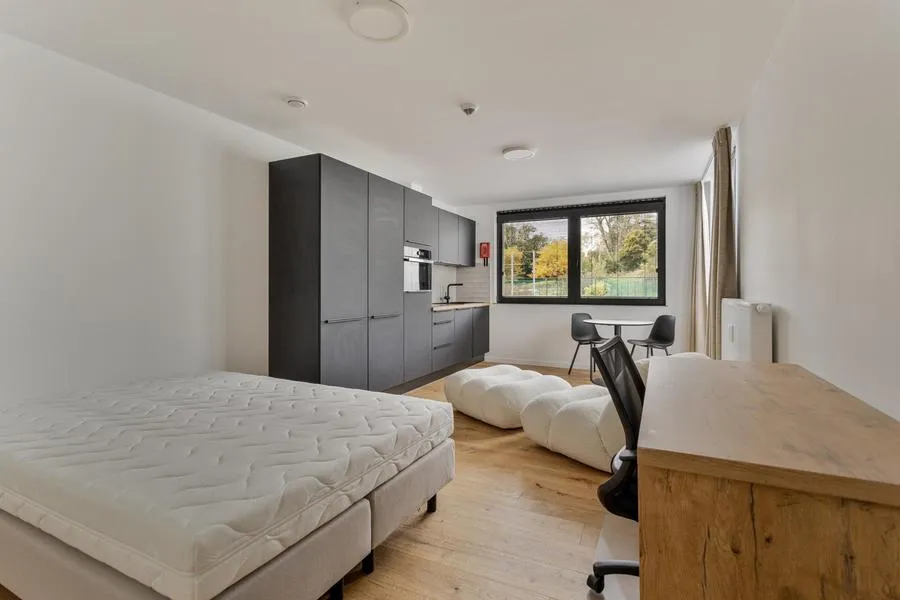 Magamistoad - 1-Bed Apartment with Garden Access in Leuven