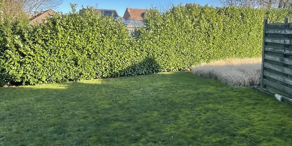 Jardin - Appartement avec Jardin et Terrasse à Retie