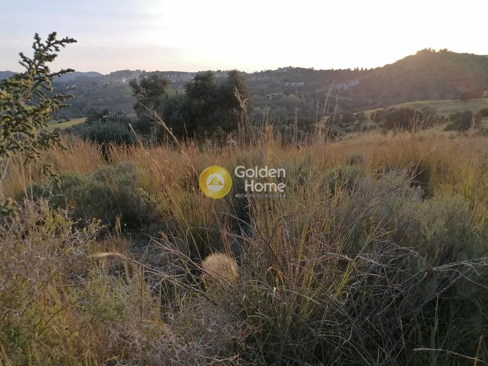 Aed - Agricultural Plot with Panoramic Views in Phaistos