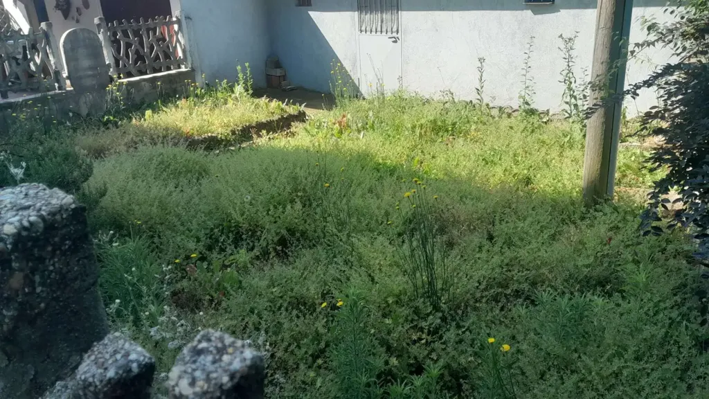 Aed - Quadrilocale with Private Garden in Cambiano