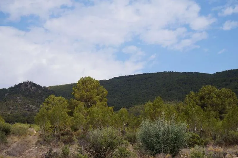 Large Plot in Yecla