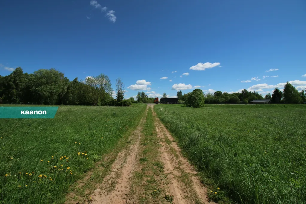 Aed - Commercial Plot with Good Visibility in Kõrveküla