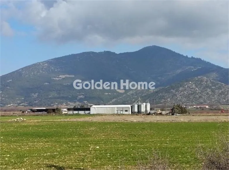 Local commercial à GR