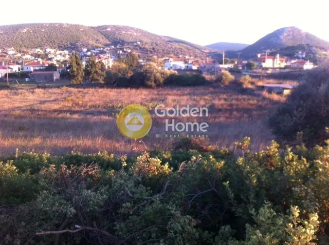 Jardin - Plot with Unrestricted View in Koskina, Dytos