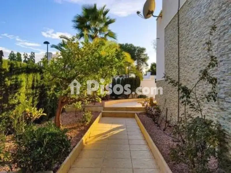 Jardin - Chalet with Pool in Pinar de Campoverde